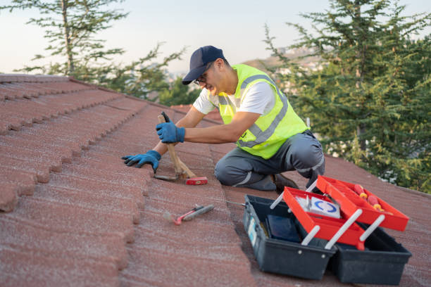 Best Storm Damage Roof Repair  in Live Oak, TX